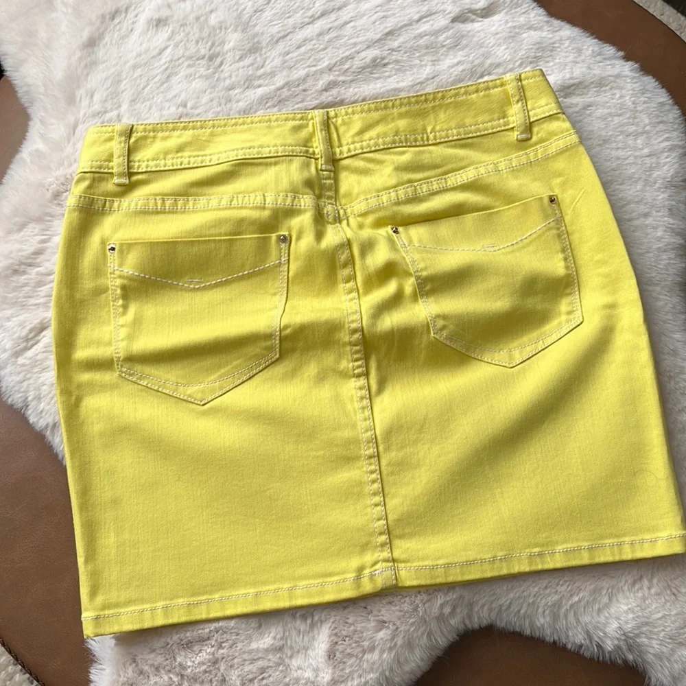 CACHE Skirt (CLST)‎